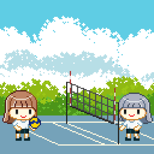 Volleyball Match